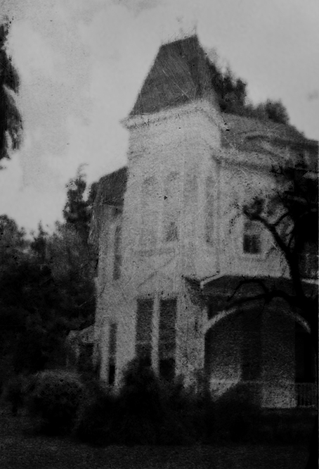 Documentary Photograph 2 – Dinner with the Cannibal Sisters